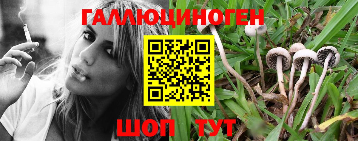 Псилоцибиновые грибы Psilocybine cubensis  цена наркотик  Азов  Вход с VPN 